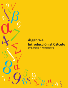 5.- Mikenberg-Álgebra e introduccion al cálculo