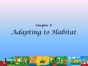 Chapter+5+ADAPTING+TO+HABITAT (1)