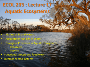 Ecol203 - Lecture 18  Aquatic Ecology