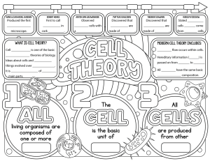 Cell Theory Doodle Note