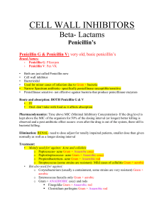Beta Lactams- Antibiotic Drug