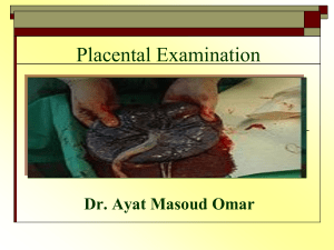 8-placental Examination1