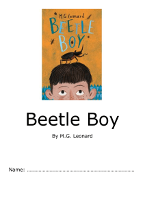 Beetle Boy - SATS style Beetle Boy questions