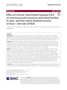 Efect of chronic intermittent hypoxia (CIH) on neuromuscular junctions and mitochondria in slow- and fast-twitch skeletal muscles of mice