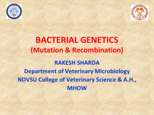 Bacterial-genetics
