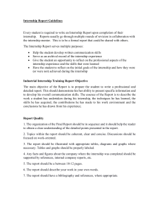 2- Internship Final Report Guidelines