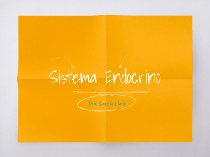Clase-4-Sist Endocrino