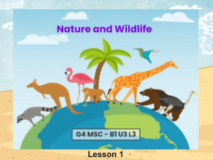 B1 U3 L3 - Nature and Wildlife