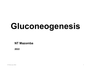 2022 BCH313 Gluconeogenesis