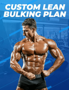 Custom Lean Bulk Training Plan