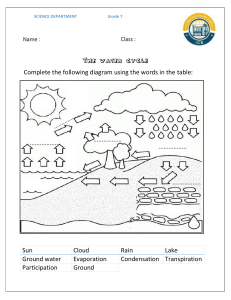 Water cycle Homework sheet 