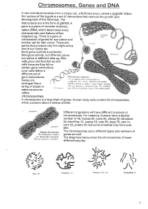 Genetics booklet yr 10