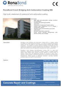 RonaBond-Crack-Bridging-Anti-Carbonation-Coating-WB-RONL727-I10-031121