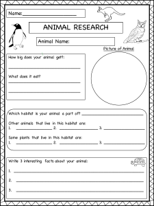 Animal Project  grade 1  ---- research