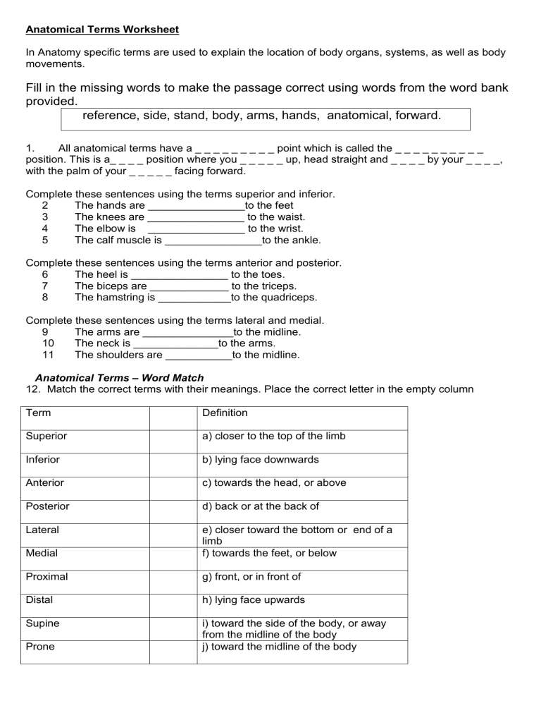 anatomicaltermsworksheet