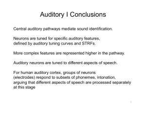 15 Auditory2Echolocation