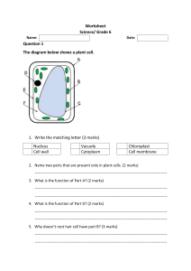 Worksheet Cells