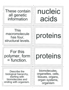 biomolecule flashcards