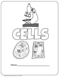 CellsWorkbookGrade8OntarioScience-1