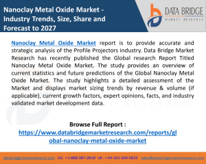 New Report On Nanoclay Metal Oxide Market Growing Demand Evolving Technology and Growth Outlook 2020 to 2027