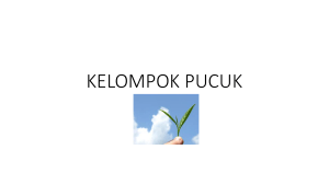 KELOMPOK PUCUK