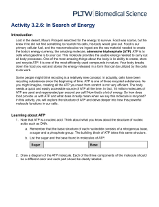 3.2.6 In Search of Energy