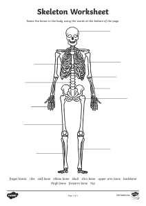 Skeleton-Worksheet