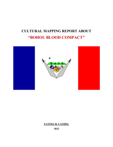 CULTURAL MAPPING REPORT ABOUT