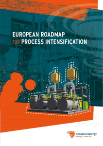 European Roadmap PI