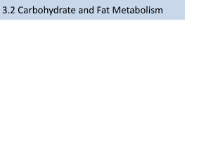 3.2 Carbohydrate and Fat Metabolism-2