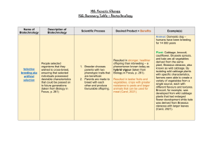 Summary Table - Biotechnology