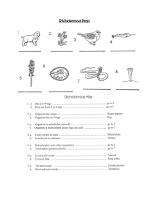 Dichotomous Keys worksheet