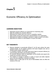 05 - Economic Efficiency & Optimization