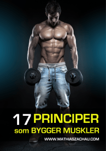 17-Principer-Som-Bygger-Muskler