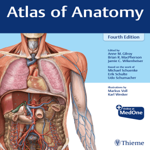 Atlas of Anatomy (Gilroy) 4 ed (2020)