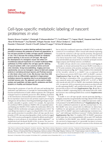Cell type specific metabolic labeling of nascent proteomes in vivo