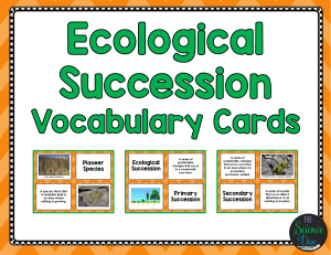 Ecological Succession Vocab Cards- Color