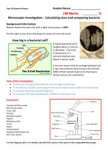 Microscopic Investigation Prac