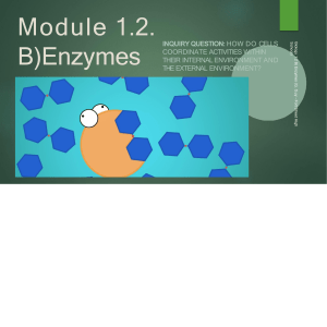 Module 1.2. Enzymes