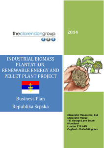Pellets, Plantation & Renewable Energy RS Business case and Plan