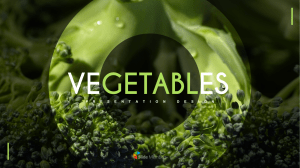 SlideMembers VegetablesPowerpointPresentation PW 9396