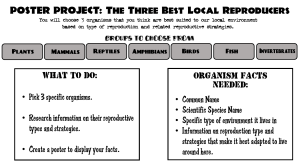 POSTER PROJECT The Three Best Local Reproducers
