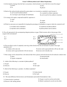 Exam3-1(Phtosynthesis-Cellular respiration)