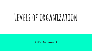 BiologyLesson1LevelsofOrganization-1