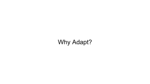 Why Adapt - Eating A4