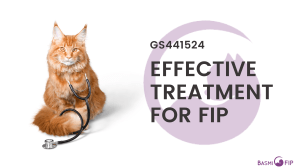 FIP TREATMENT Vet Booklet