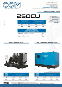 CUMMIN 250 275 kVA