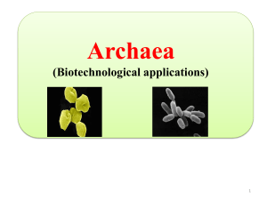Archaea ppt