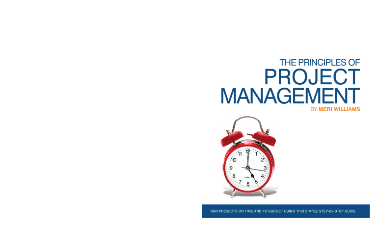 the-principles-of-project-management