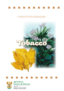 tobacco production guideline publication